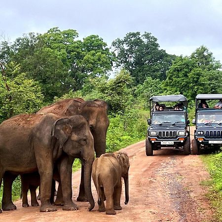 Jungle Lodge Udawalawe Εξωτερικό φωτογραφία